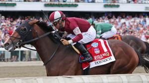 Dornoch, National Treasure, 2024 Longines Breeders' Cup Classic